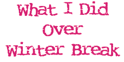 What I Did Over Winter Break